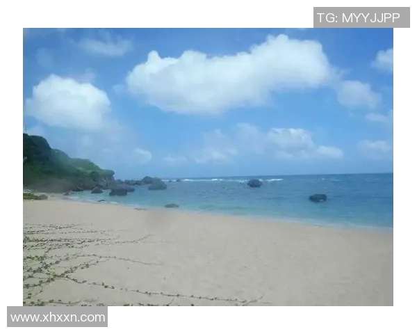 南京极限运动队如何通过创新反击挑战重塑运动新风貌